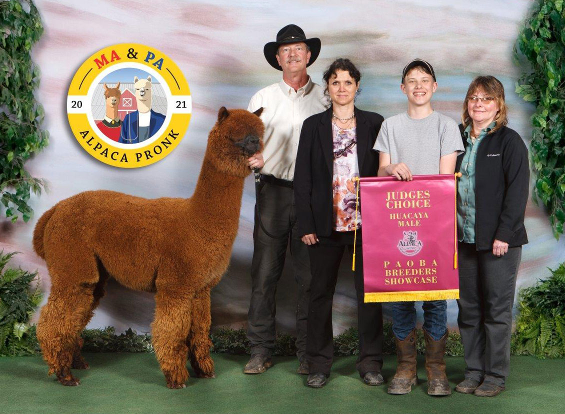 Kendall Creek Farms Alpacas
