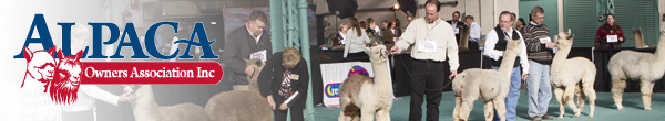 AlpacaGram 4.82