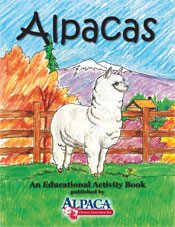 Activity Book