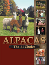 Alpaca Folder