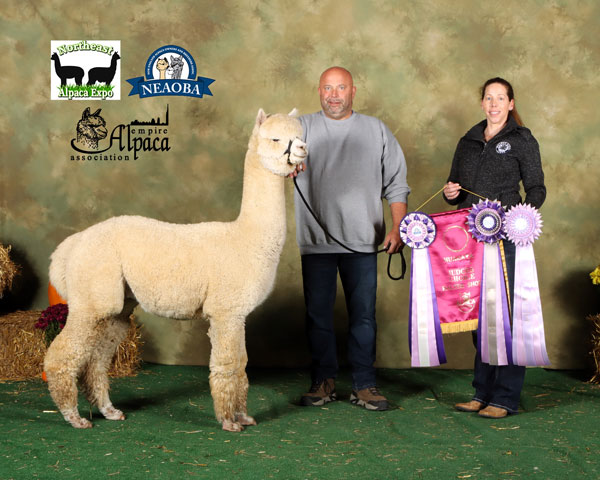 AMAF's Double Barrel