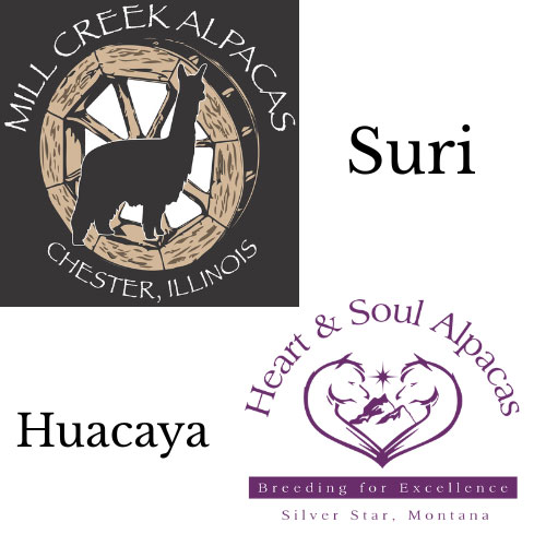 Heart & Soul Alpacas & Mill Creek Alpacas
