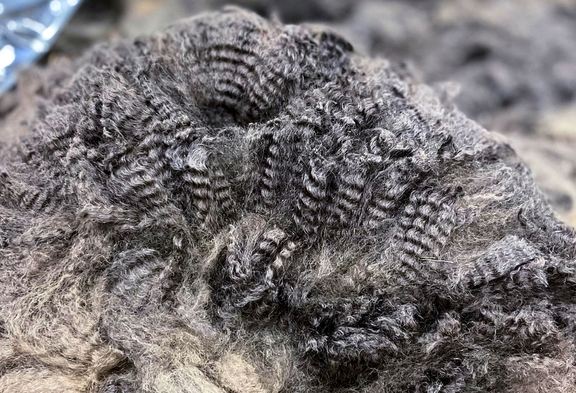 Fulcrum Farms award winning fleece