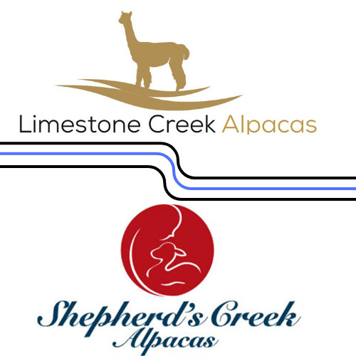 Shepherds Creek Alpacas & Limestone Creek Alpacas