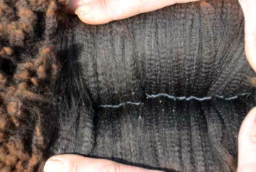 Fulcrum Farms' Jewel fleece