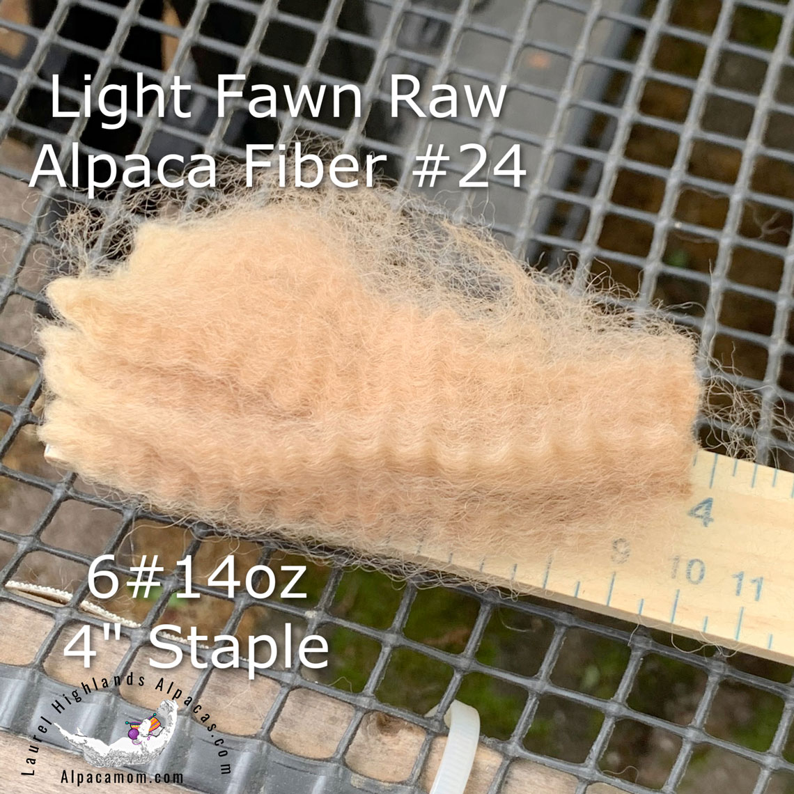 Light Fawn Huacaya Fiber 4