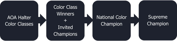 Invited Champions at Nationals