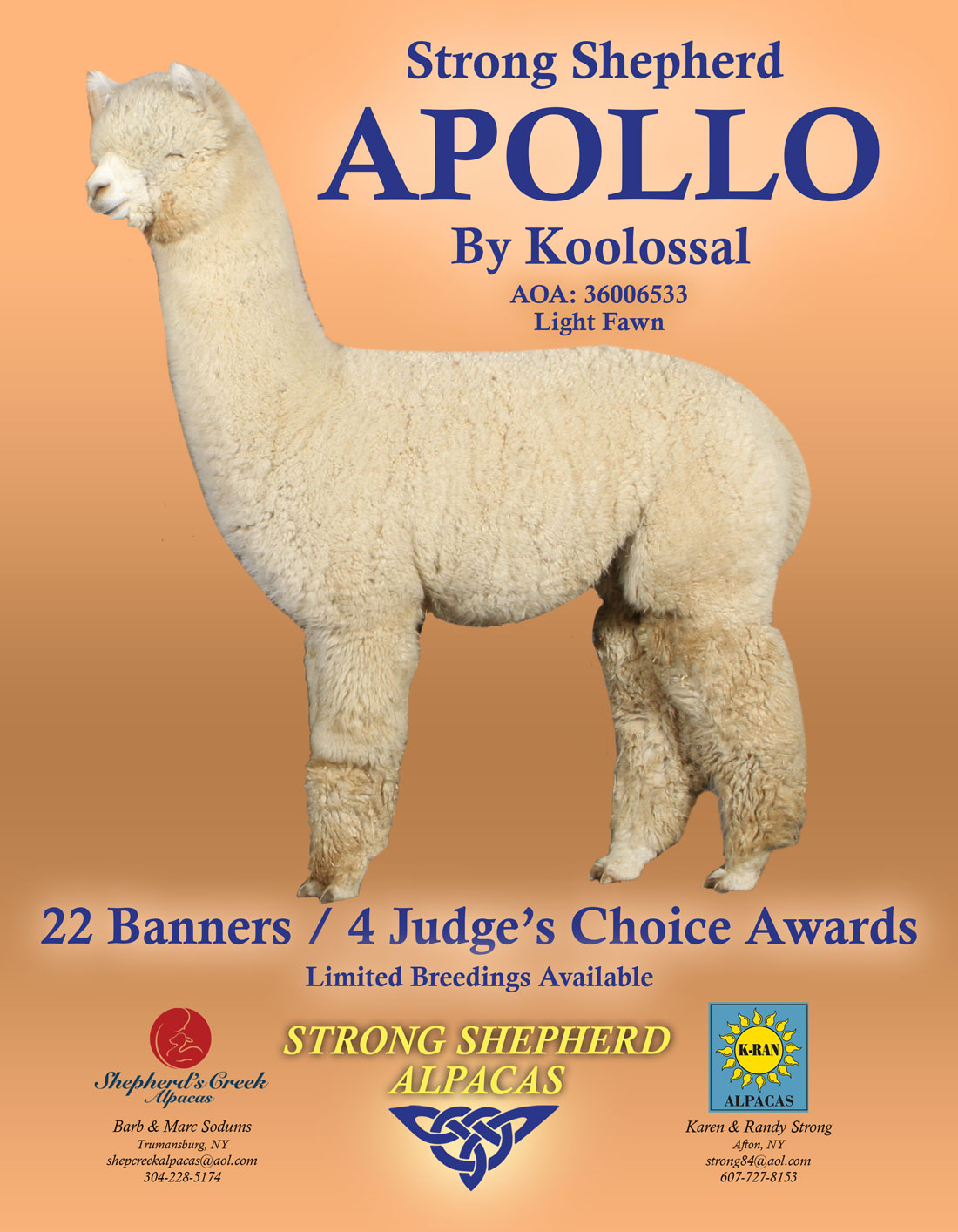 Auction Lot StrongShepherd Apollo by Koolossal
