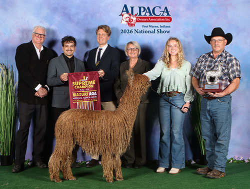 Raynay's Brown Sugar by Aladdin