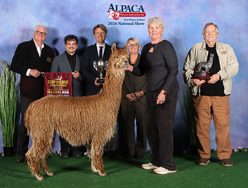 Raynay's Dahila by Maxamus