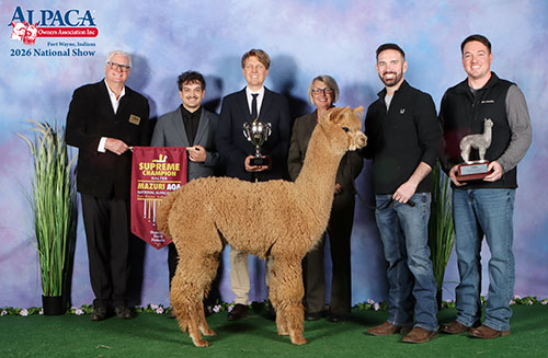 Elderwood's Polar Wind