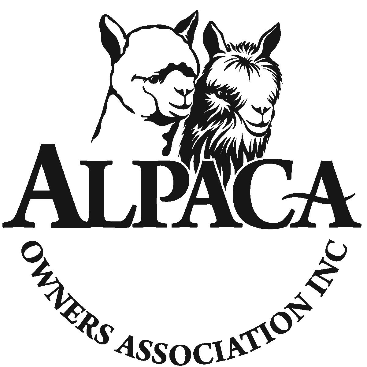 aoa brand guide advertising and logos