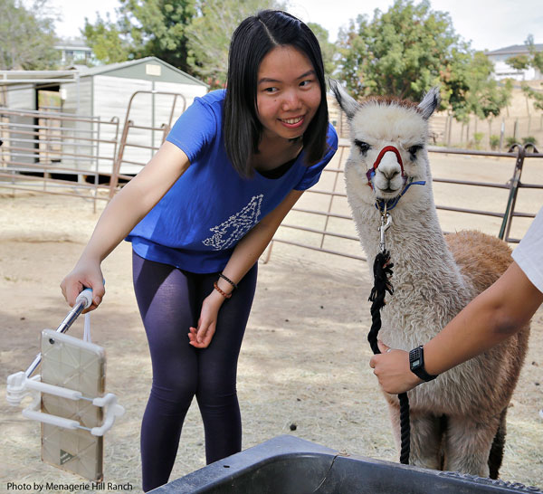 photo courtesy of Menagerie Hill Ranch